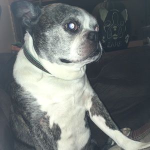 Meet your Posher, Ashley